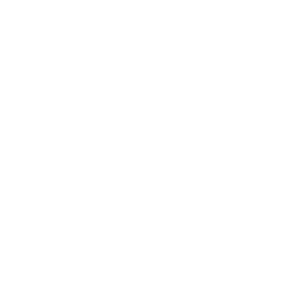 Colibri-Logo-Br