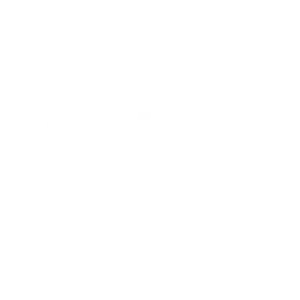 NetSul-Logo-BR